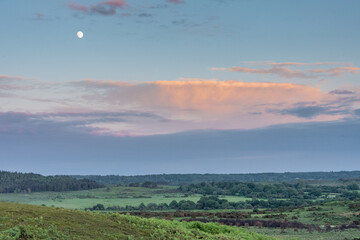 New Forest under moonlight and pink clouds 