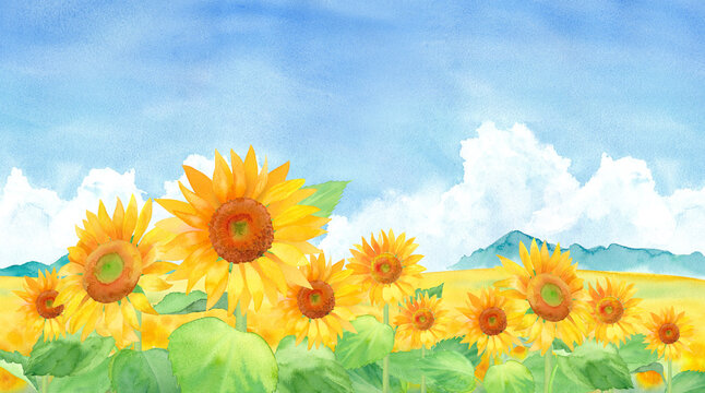 37 317 Best ヒマワリ Images Stock Photos Vectors Adobe Stock 37 317 Best ヒマワリ Images Stock Photos Vectors Adobe Stock