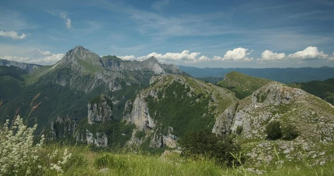 Procinto. Apuan Alps mountains with flower in the foreground.Monte Corchia, Pania della Croce, Procinto and Nona seen from Monte Matanna. Italy. 