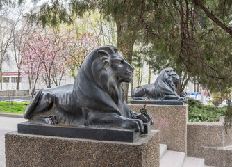 Lion guarding the 
