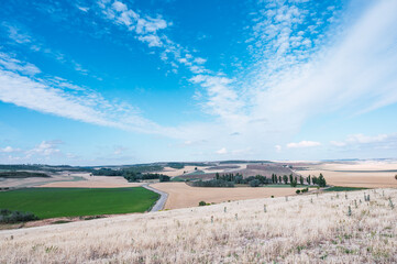 Rural landscape with crop fields. Sky with clouds. Image with copy space