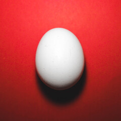 Egg White
