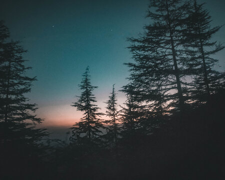 Nightscape Shimla