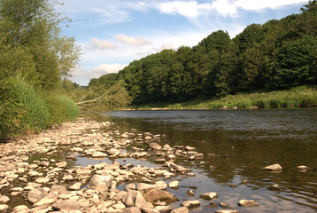 looking up river Tweed at Darnick in summer