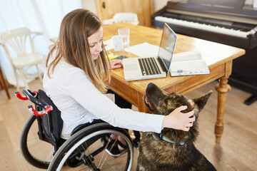 Frau im Rollstuhl am Computer krault ihren Assistenzhund