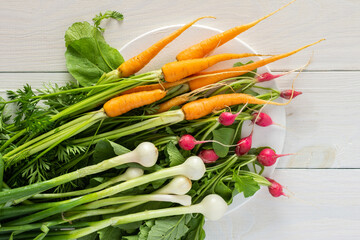 Freshly picked young radishes and carrots with green tops and green onions on a board on a white wooden background, organic products from the vegetable garden