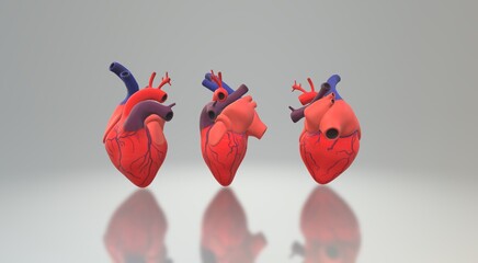 Heart model seen from 3 different angles. 3d illustration  realistic heart model