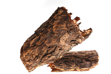 Pine bark on a white background