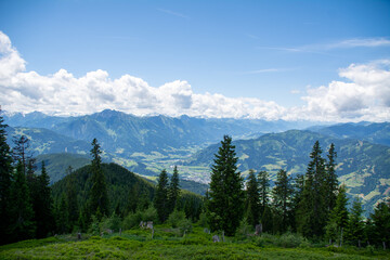 Panoramic view over the Austrian Alps with a hiking trail, trees, and a blue sky with clouds