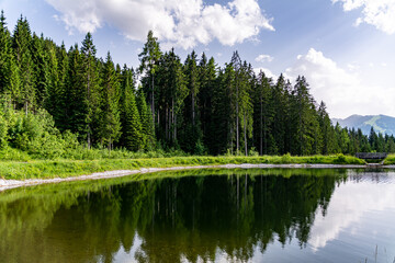 Small alpine lake reflecting the surrounding trees and green grass in a mountain landscape