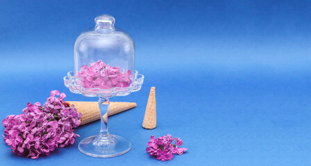 Obraz na płótnie Canvas Lilac flowers in a cone and on a cake plate.