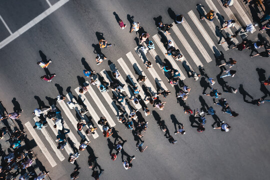 Different people at a pedestrian crossing in the city. People at a zebra pedestrian crossing - a lot of pedestrians in an overcrowded city on a sunny day. Aerial drone shot. 