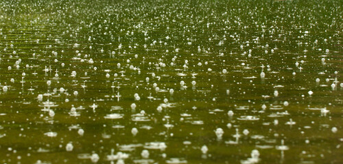 strong rain with bubbles on the green forest lake