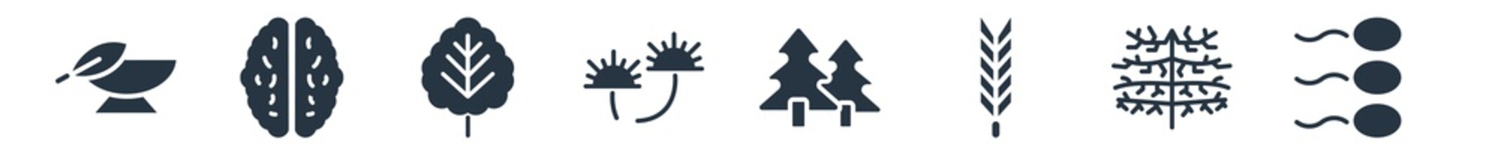 nature filled icons. glyph vector icons such as fertilize clinic, cypress leaf, escuamiforme, woods, carnivorous plant, tree leave, human brian sign isolated on white background.