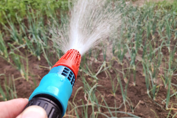 The water hose watering the vegetables and plants in the garden during hot days