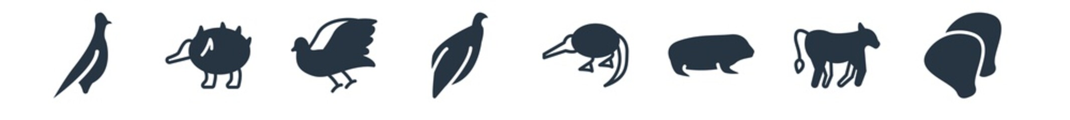 animals filled icons. glyph vector icons such as clam, calf, null, desman, vulture, flying dove, echidna sign isolated on white background.