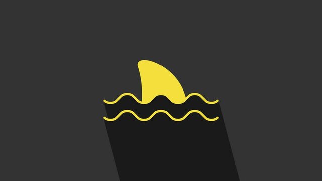 Yellow Shark fin in ocean wave icon isolated on grey background. 4K Video motion graphic animation