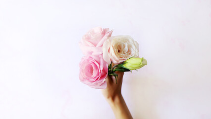 Top view of a hand holding a small bouquet of blooming pink flowers and a white greenish bud. With pale pink background.