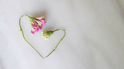 Flat lay of two withered flowers with their heads drooping, placed at an angle that form a heart shape. On a marble surface, with copy space on the right. Top view.