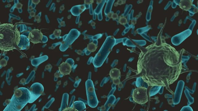 Animation of covid 19 and bacteria cells floating
