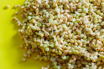 Green buckwheat with sprouts on a yellow plate, fresh natural vitamins from cereals