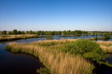 Rottige Meente