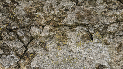 단단한 바위 바탕 사진