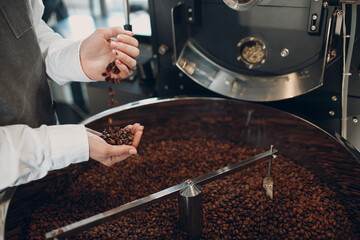 Coffee cooling in roaster machine at coffee roasting process. Woman hands pour coffee beans.