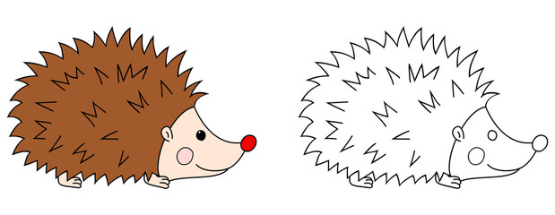 Cartoon hedgehog colorful and black and white. Coloring book page for children. Colored and outline vector hedgehog illustration isolated on white background.