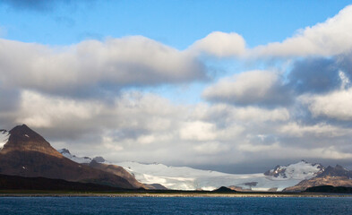 Salisbury Plain, South Georgia