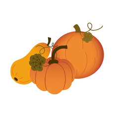 Hand drawn vector card or poster with cute orange pumpkins, leaves and yellow butter squash 