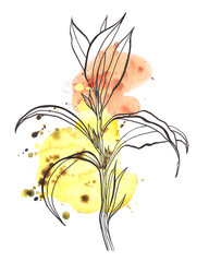 Botanical line arts. Grass.Pattern design line arts. Hand draw.