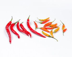 Red chili isolated on white background. This chili has a taste that is not so spicy. Usually used for a mixture of cooking spices. Consuming chili can prevent cancer and prolong life. Chili mockup.
