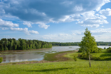 Summer landscape. Meadow, pond and trees against the background of a blue sky with beautiful heap clouds.