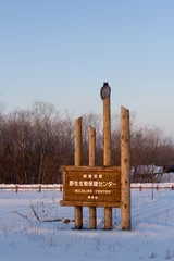 Foto auf Leinwand Bord Wildlife Center Hokkaido, Sign Wildlife Center Hokkaido © AGAMI