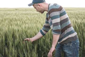 Young agronomist in a cap on a wheat field. Farmer inspects the yield
