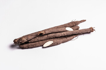 Raw Scorzonera or Spanish salsify isolated on white background