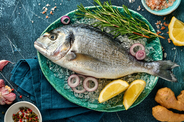 Raw dorado fresh fish or sea bream with ingredients for making lemon, thyme, garlic, cherry tomato and salt on ice on a black slate, stone or concrete background. Top view with copy space.