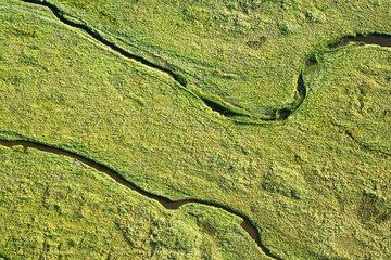 Obraz premium Schiermonnikoog