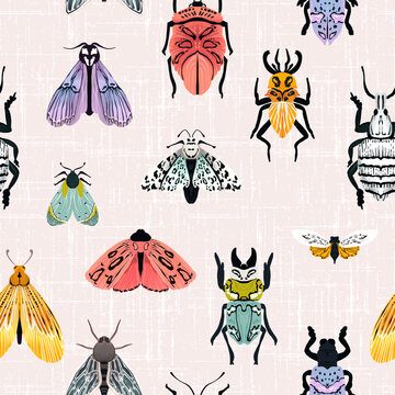 Insect butterfly and bugs seamless pattern, summer patel illustration