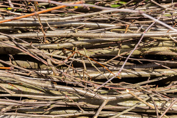 Branches and twigs. Texture. Natural background. A fence made of dry tree branches. Country style. . High quality photo