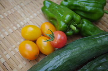楽しい農業で新鮮野菜を収穫しよう