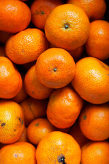 Citrus reticulata Blanco cv​. Shiyue Ju, Sugar Tangerine