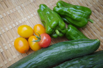 楽しい農業で新鮮野菜を収穫しよう