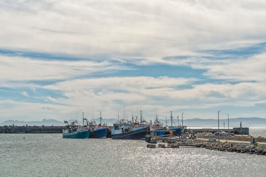 View of the harbour in Gansbaai