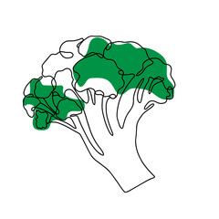 Food illustration outline silhouette  broccoli. Vegetable Isolated on white background. Vector one line art graphic element, logo and branding design in minimal style.