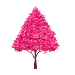 Obraz premium Tree isolated on white background. 