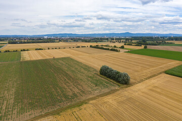 Bird's eye view of fields and meadows in Hessisch Ried / Germany 