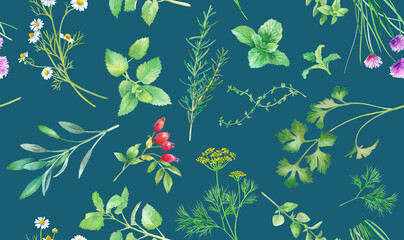 色々なハーブの水彩イラスト。シームレスパターン。 © Keiko Takamatsu
