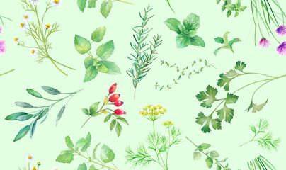 色々なハーブの水彩イラスト。シームレスパターン。（ミント、カモミール、ローズマリー、オレガノ、セージ、ディル、パセリ、タイム、ローズヒップなど）